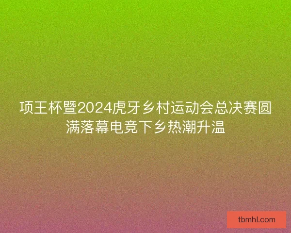 项王杯暨2024虎牙乡村运动会总决赛圆满落幕电竞下乡热潮升温 项王杯暨2024虎牙乡村运动会总决赛圆满落幕电竞下乡热潮升温