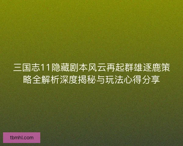 三国志11隐藏剧本风云再起群雄逐鹿策略全解析深度揭秘与玩法心得分享