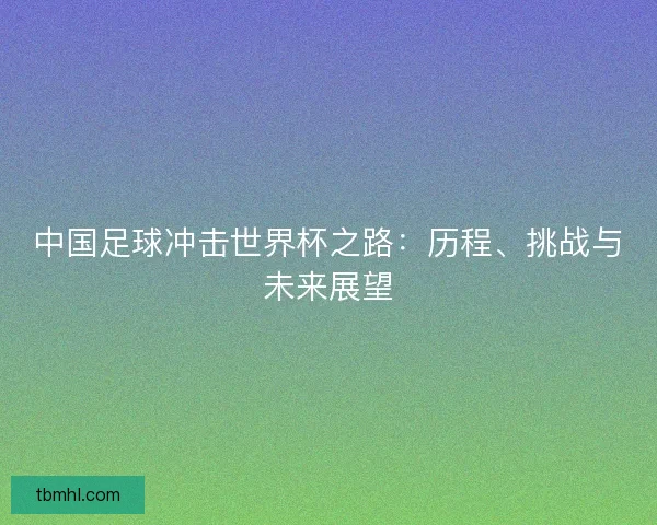 中国足球冲击世界杯之路:历程、挑战与未来展望 中国足球冲击世界杯之路:历程、挑战与未来展望