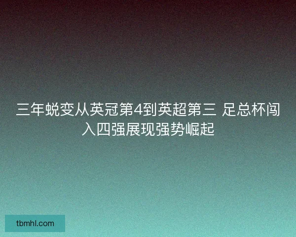 三年蜕变从英冠第4到英超第三 足总杯闯入四强展现强势崛起