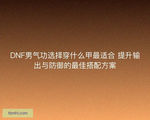 DNF男气功选择穿什么甲最适合 提升输出与防御的最佳搭配方案